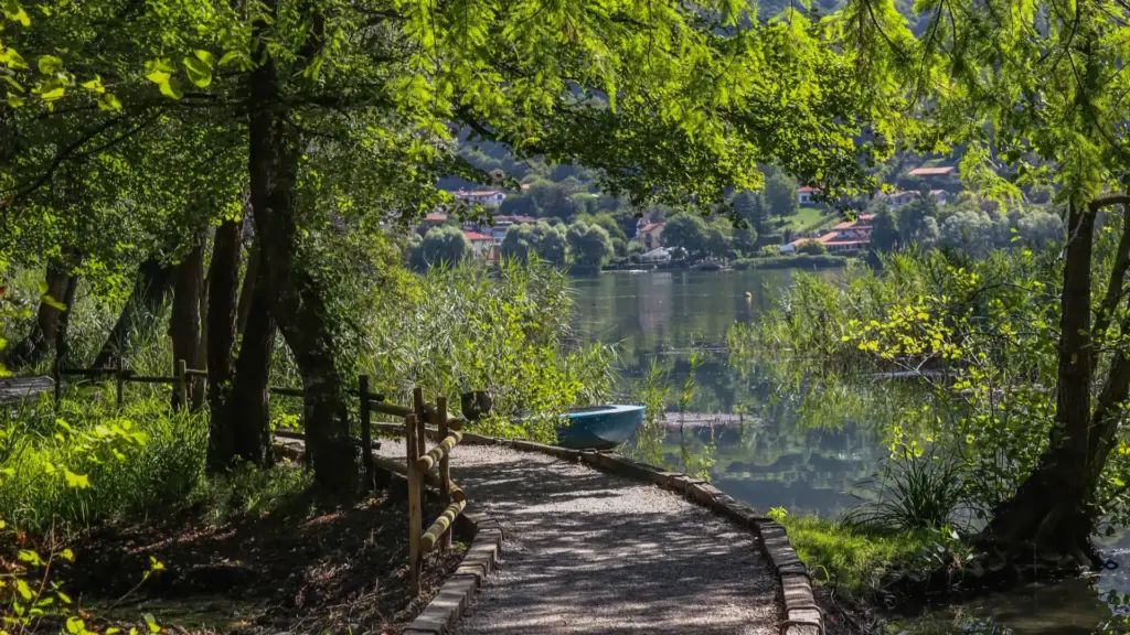 Shaded walking path beside Lake Karapiro
